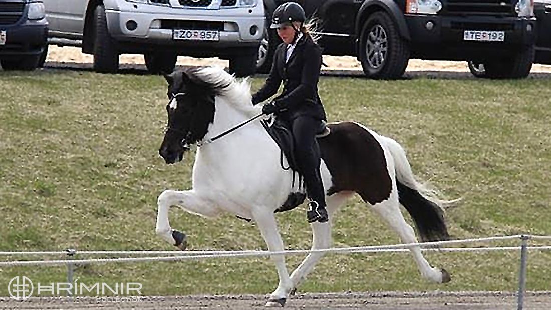 Helga Una Björnsdóttir Helga Una Björnsdóttir