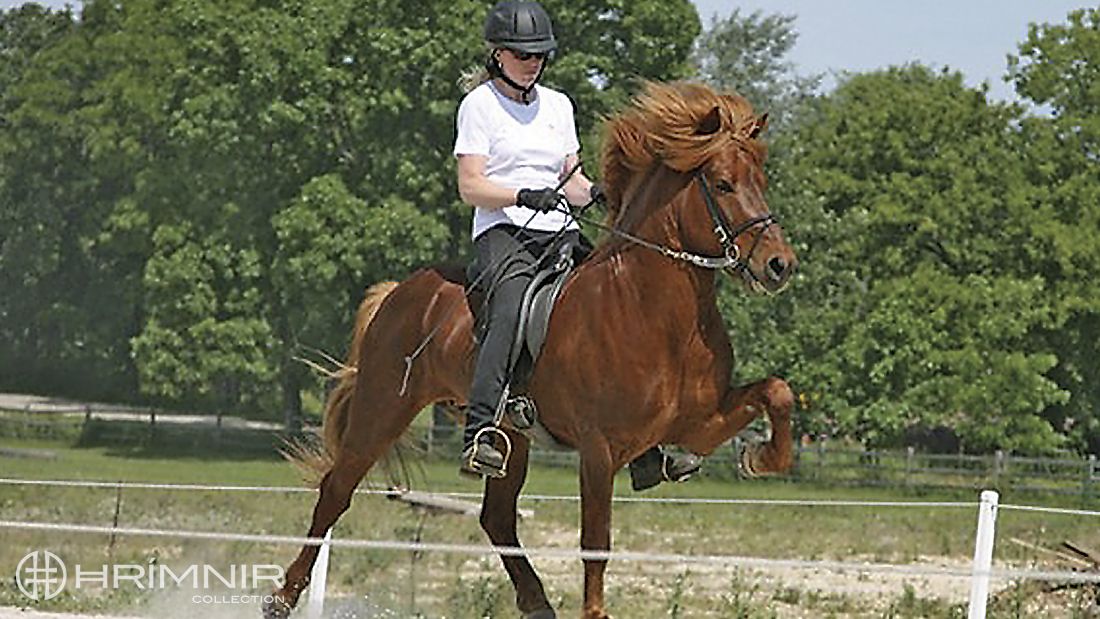 Sigrún Brynjarsdóttir Sigrún Brynjarsdóttir