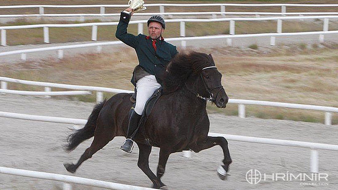 Vignir Siggeirsson Vignir Siggeirsson