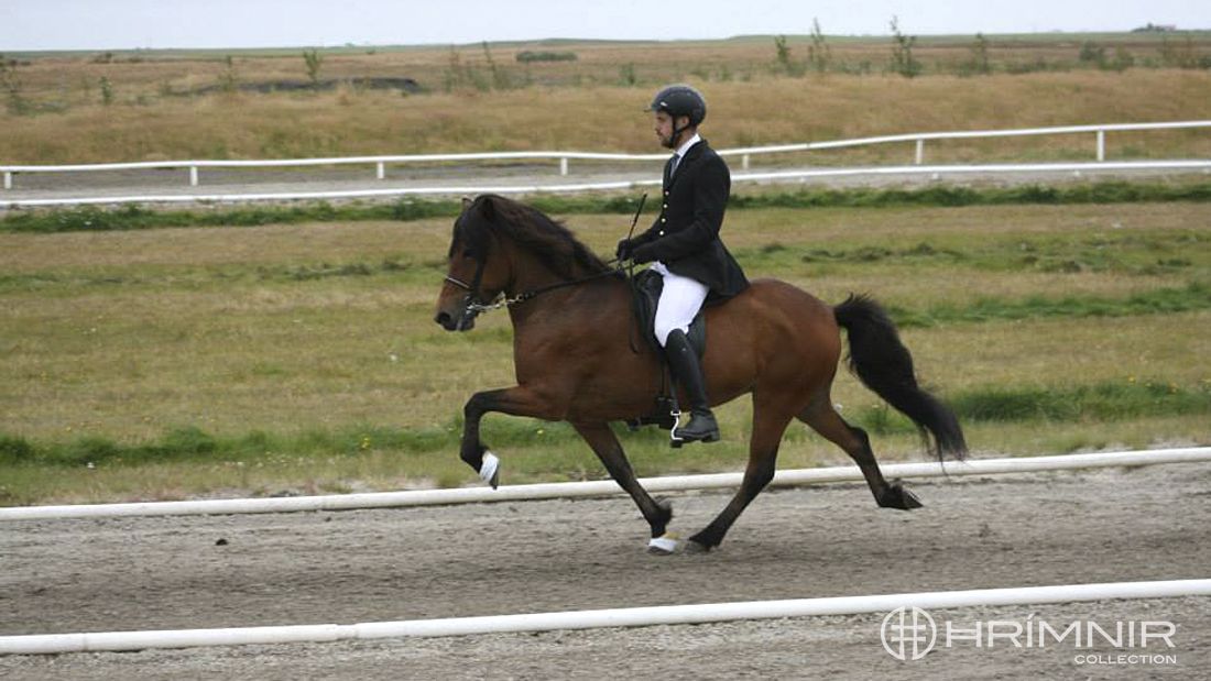 Ólafur Andri Guðmundsson Ólafur Andri Guðmundsson