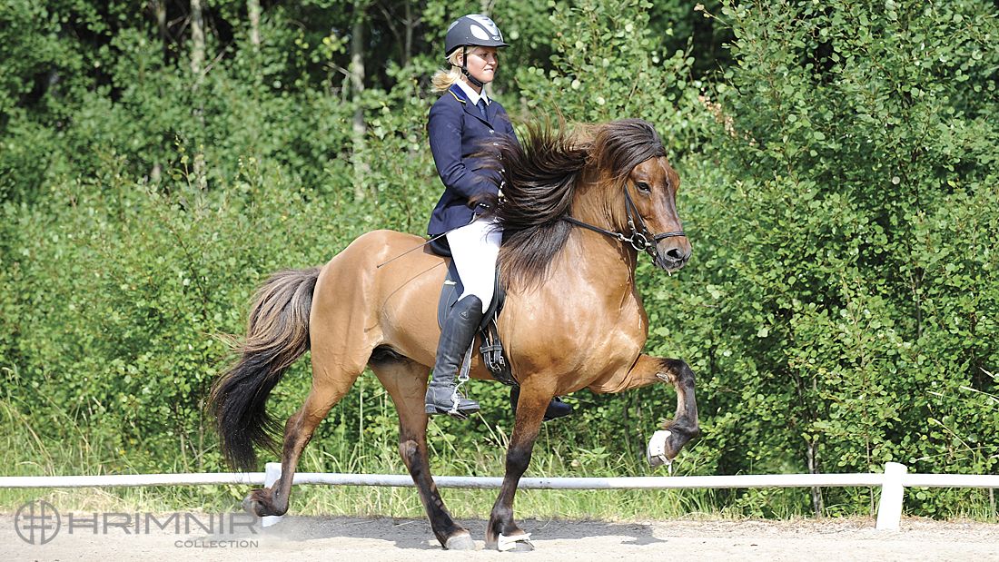 Sandra Jonsson Sandra Jonsson