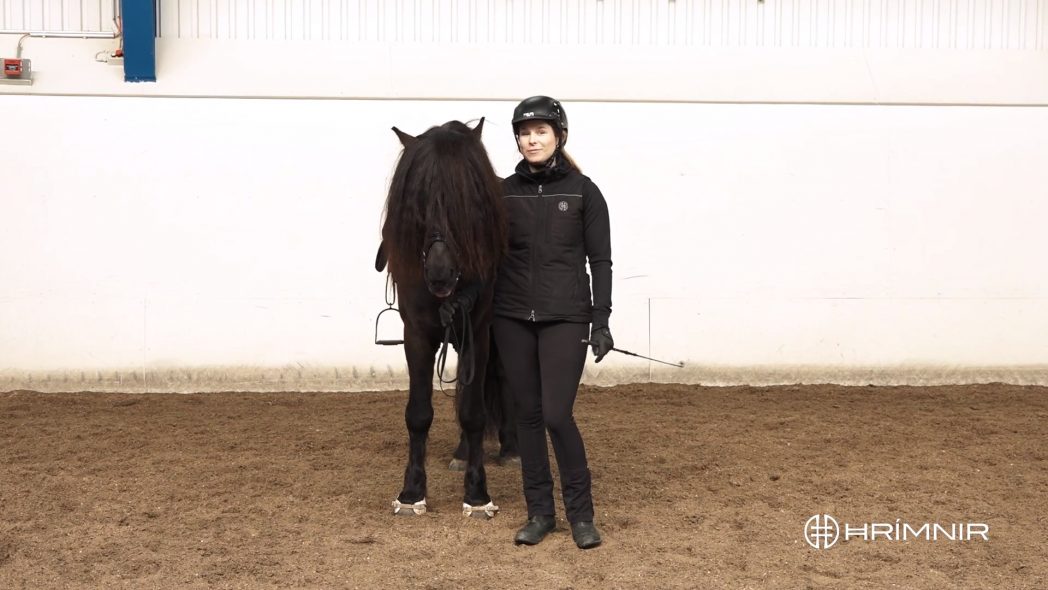 Training Session with Sina Scholz 1/4 - Warm Up - Hrimnir Community Video