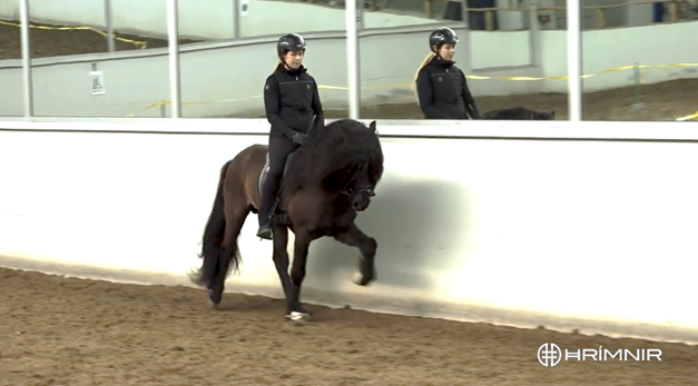 スポーツ・フィットネス Enjoying Dressage sinatolt3-small.png