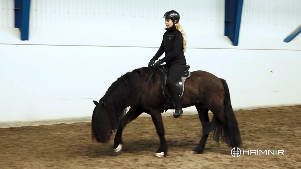 スポーツ・フィットネス Enjoying Dressage Another top performance by a St. Schufro offspring at the