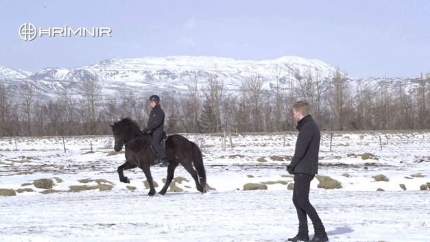 Bending and balance - Riding lesson 4/4 - Hrimnir Community Video