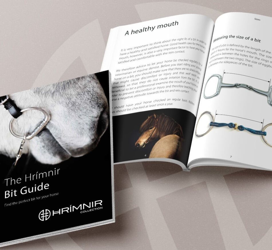 How to Choose the Perfect Bit for Your Icelandic Horse: A Complete Guide