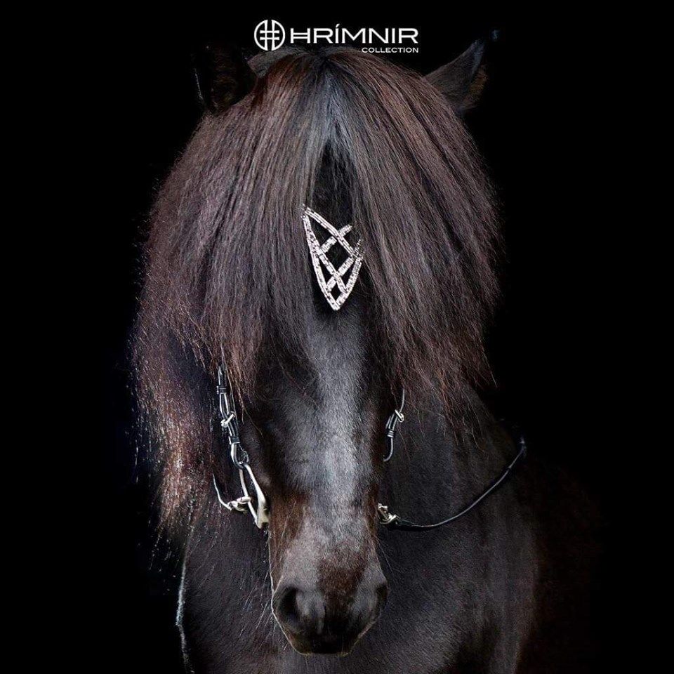 Headstall Heritage Shield