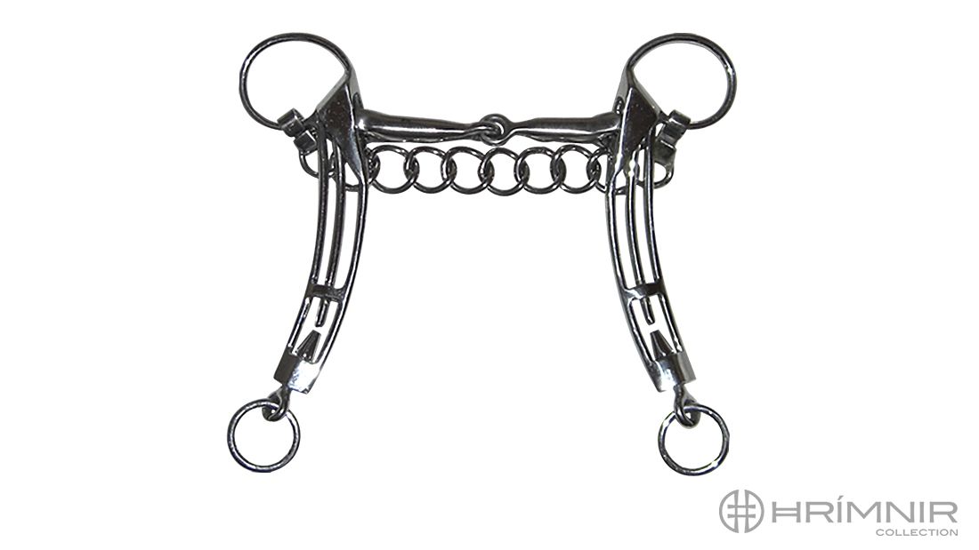 Training with the Icelandic curb bit 1/4 Introduction Hrimnir Community