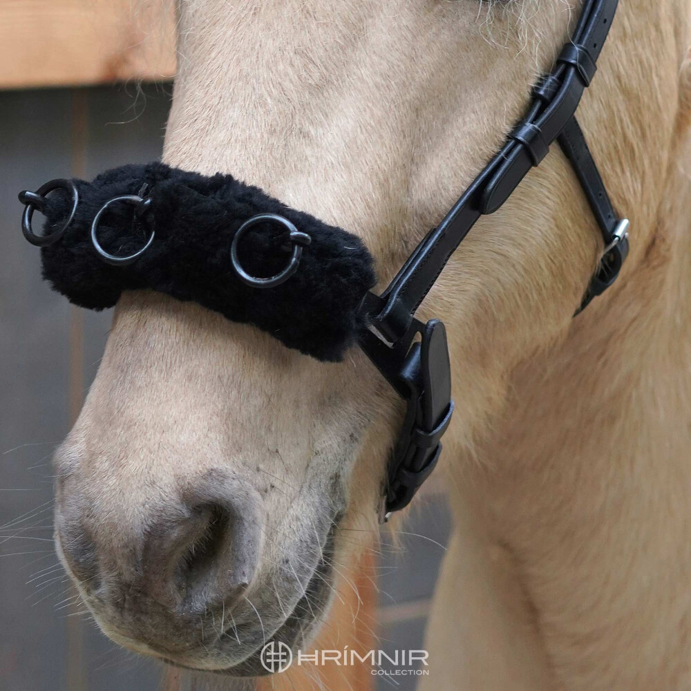 Lungeing Cavesson Carmen Halters, lungeing & whips Hrimnir