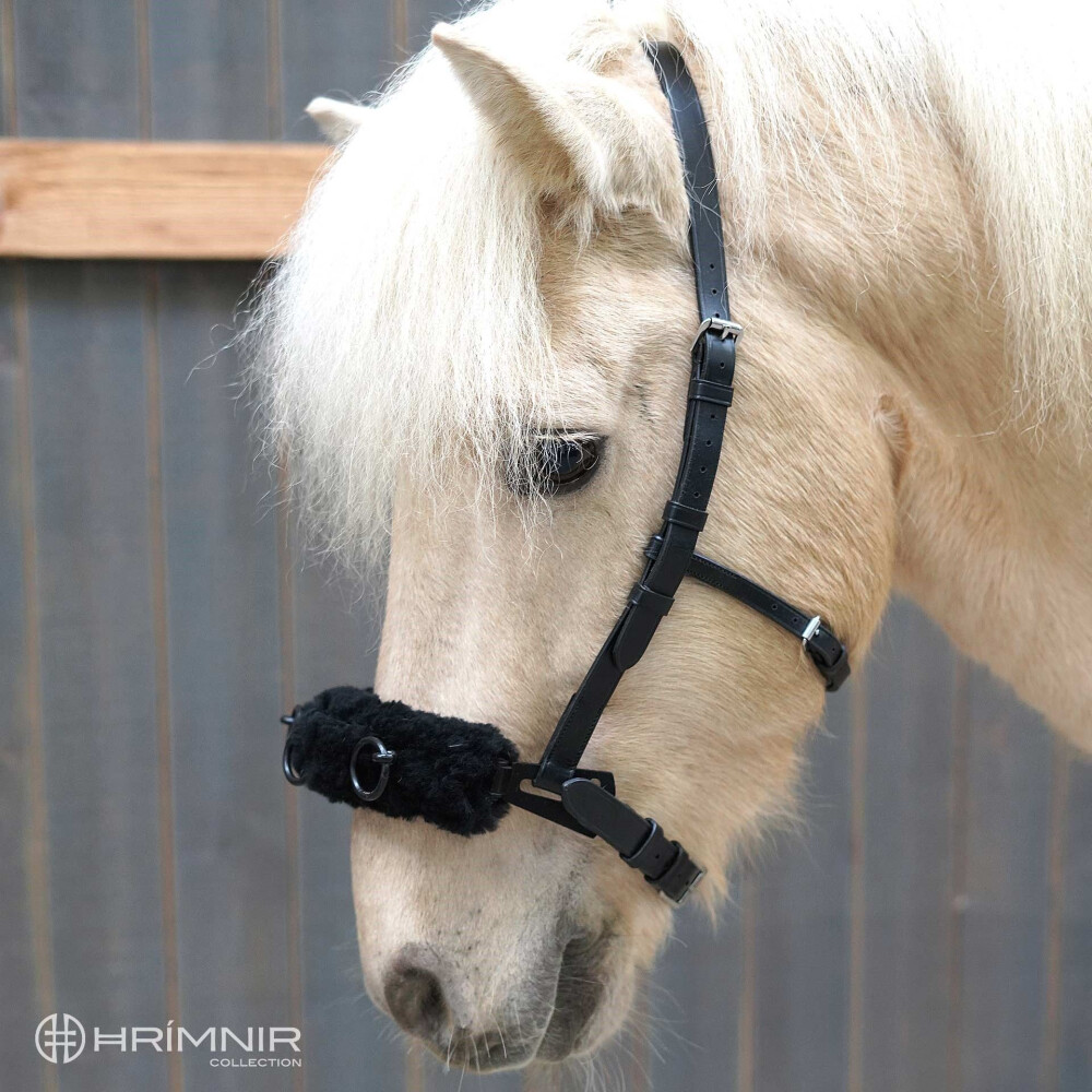 Lungeing Cavesson Carmen Halters, lungeing & whips Hrimnir