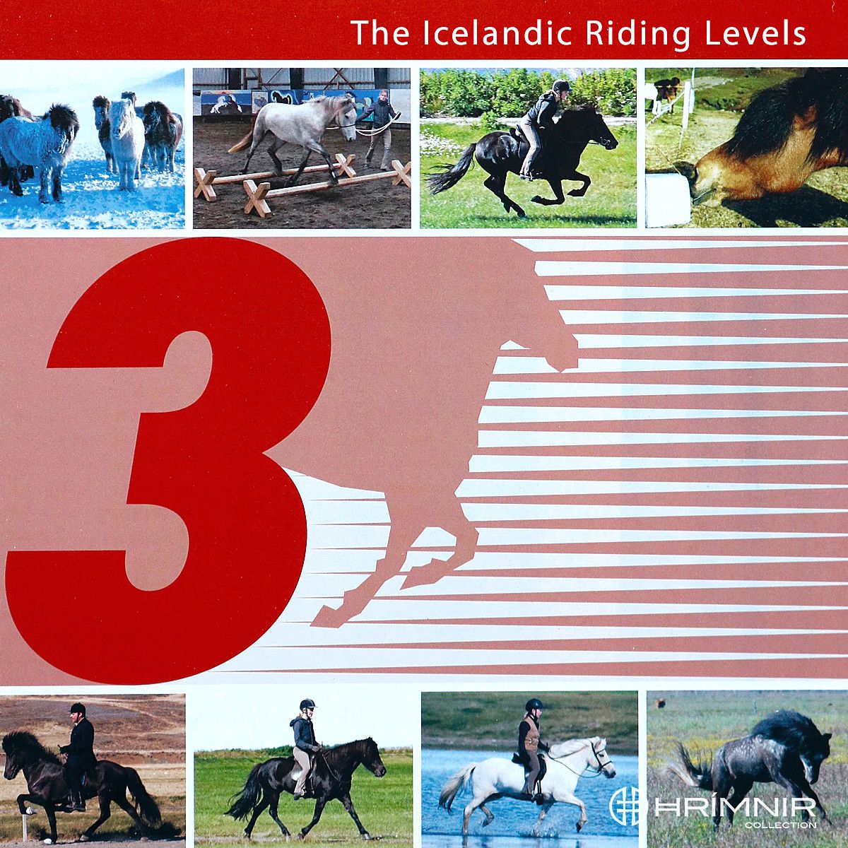 icelandic riding levels 3 front page 
