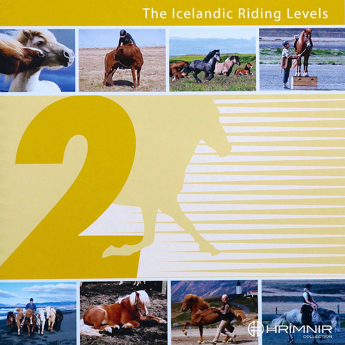 icelandic riding levels two front page 