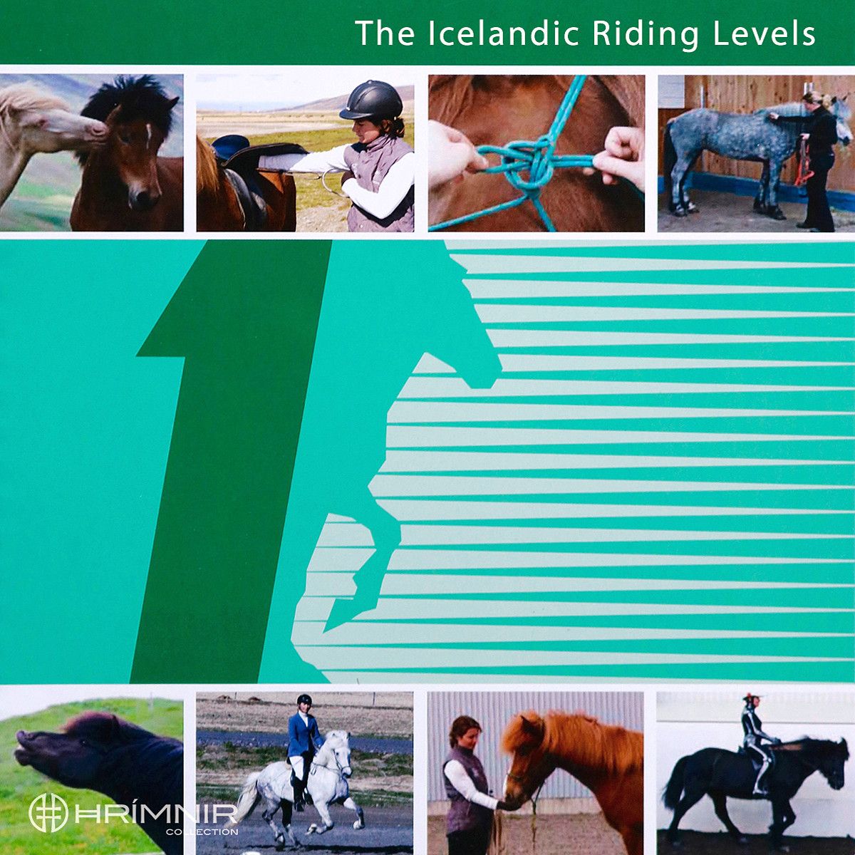 icelandic riding levels 1 front page 