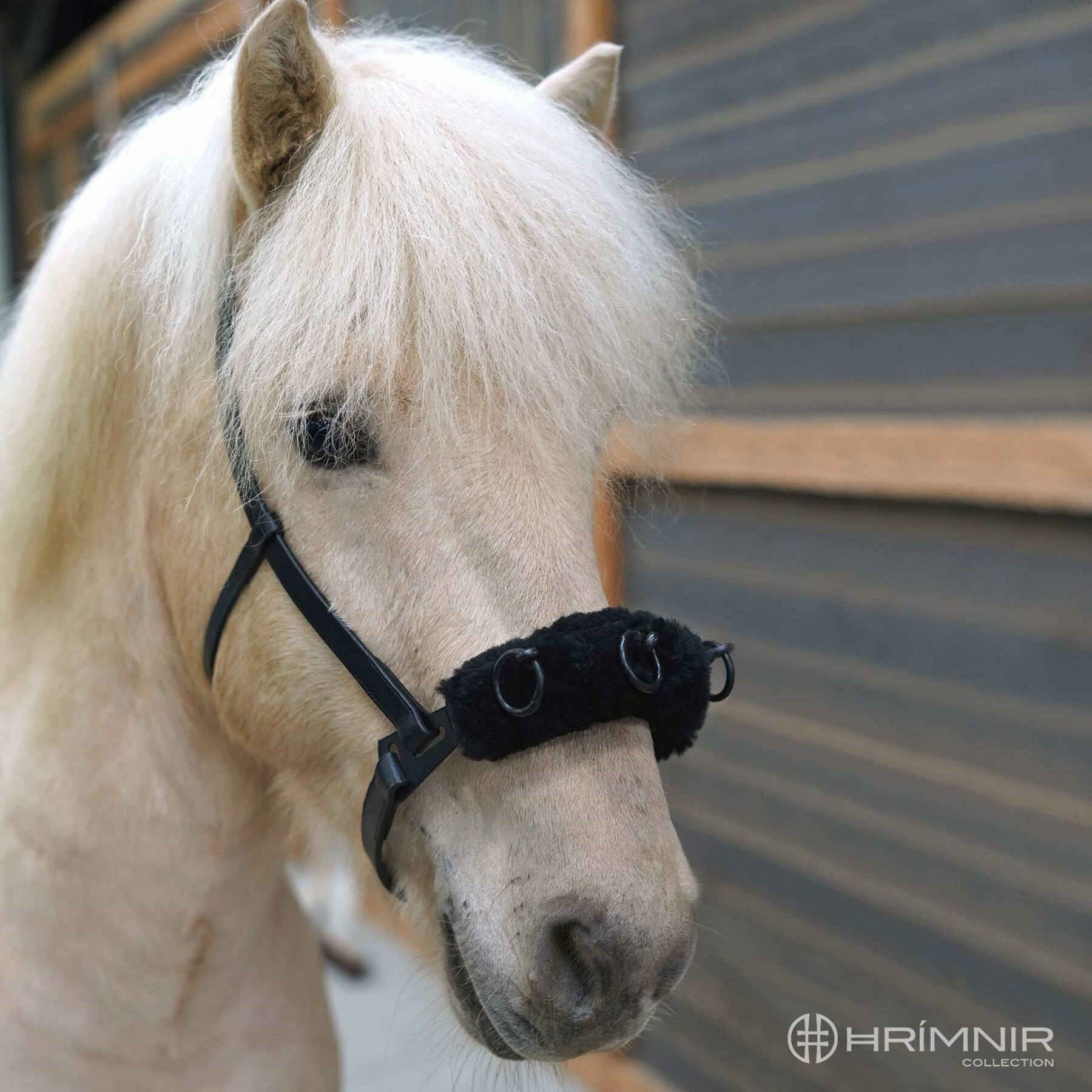 Lungeing Cavesson Carmen Halters, lungeing & whips Hrimnir