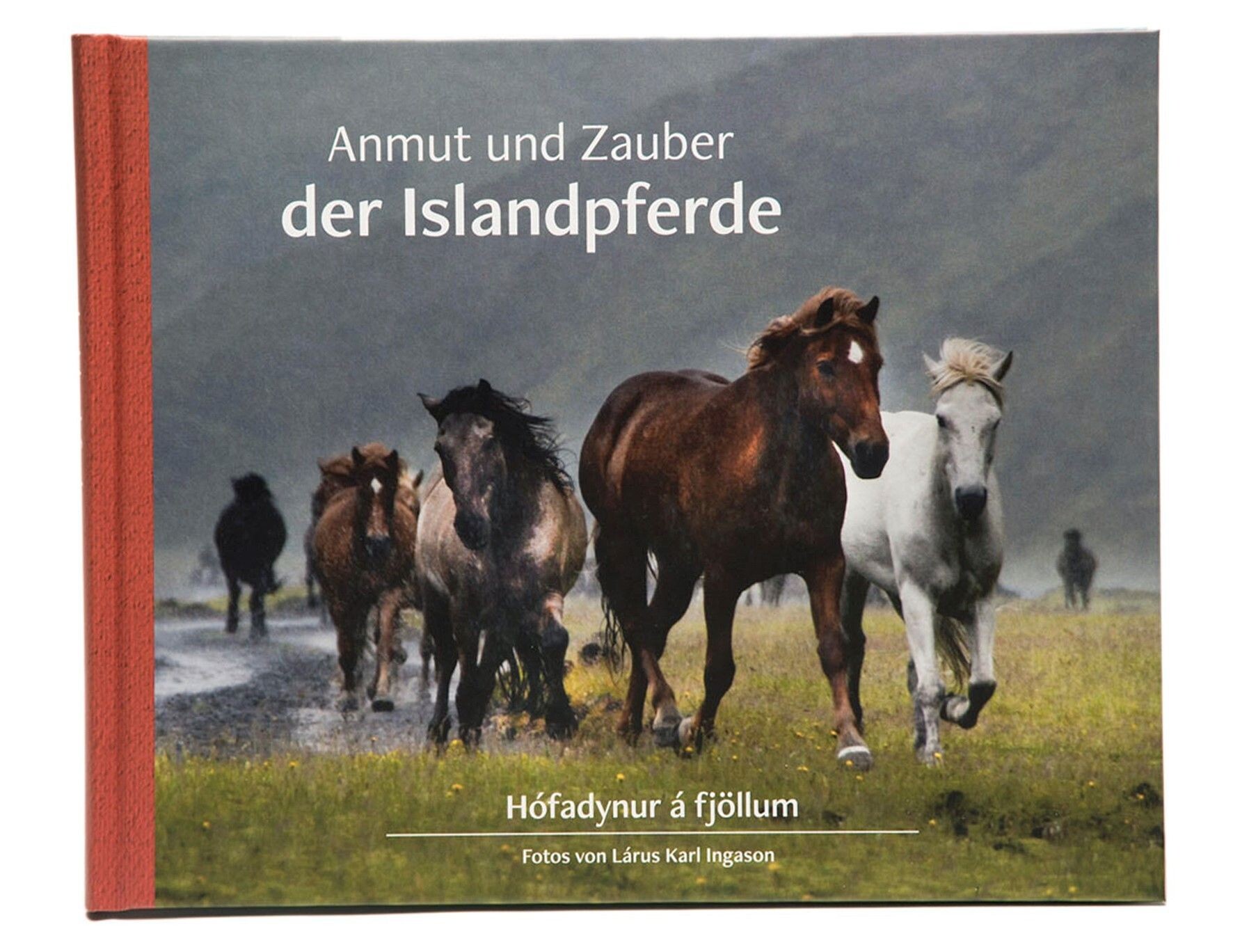 Mountain Rides on Icelandic Horses