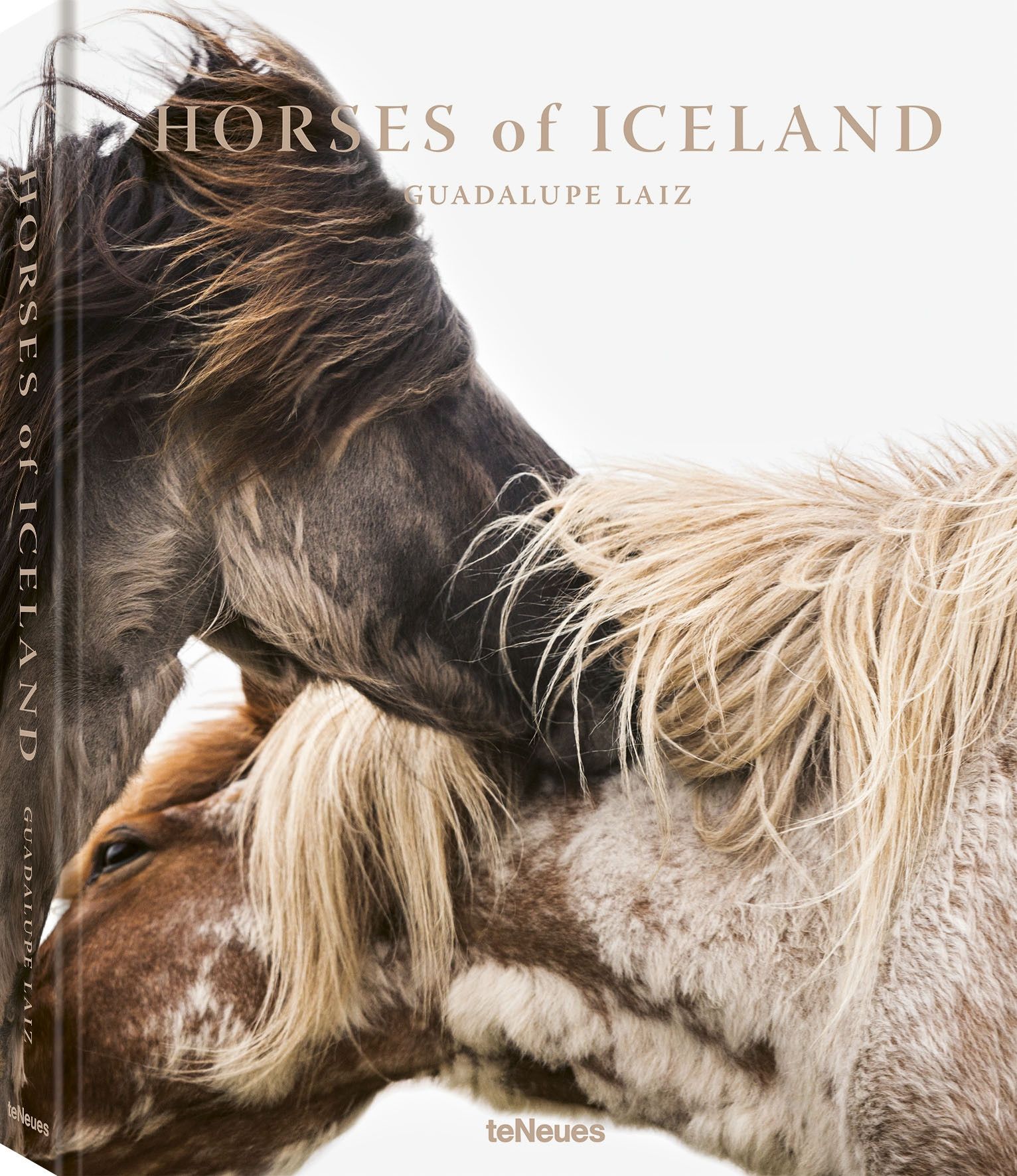 horses of iceland book front cover 