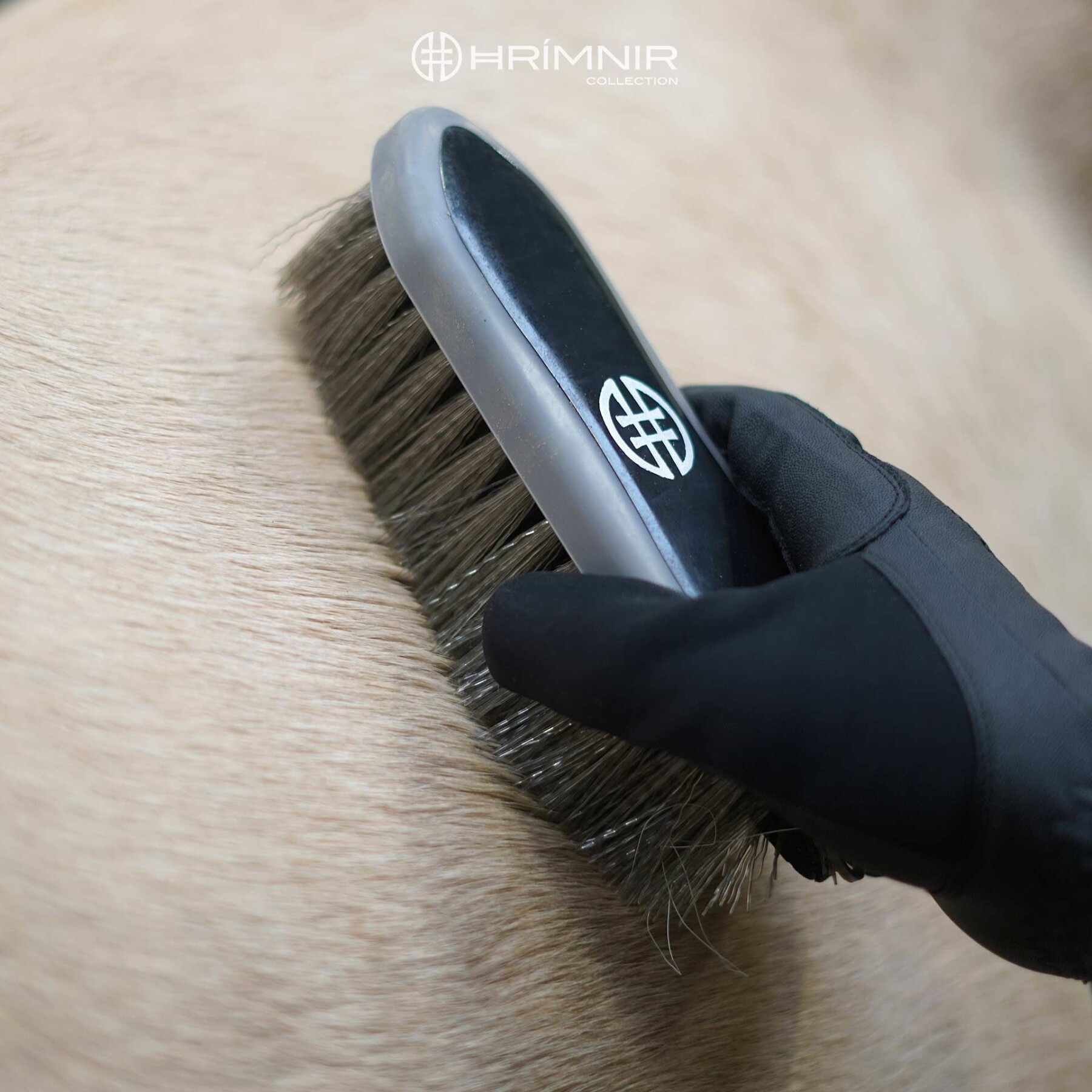 Dandy Brush Care Products Hrimnir