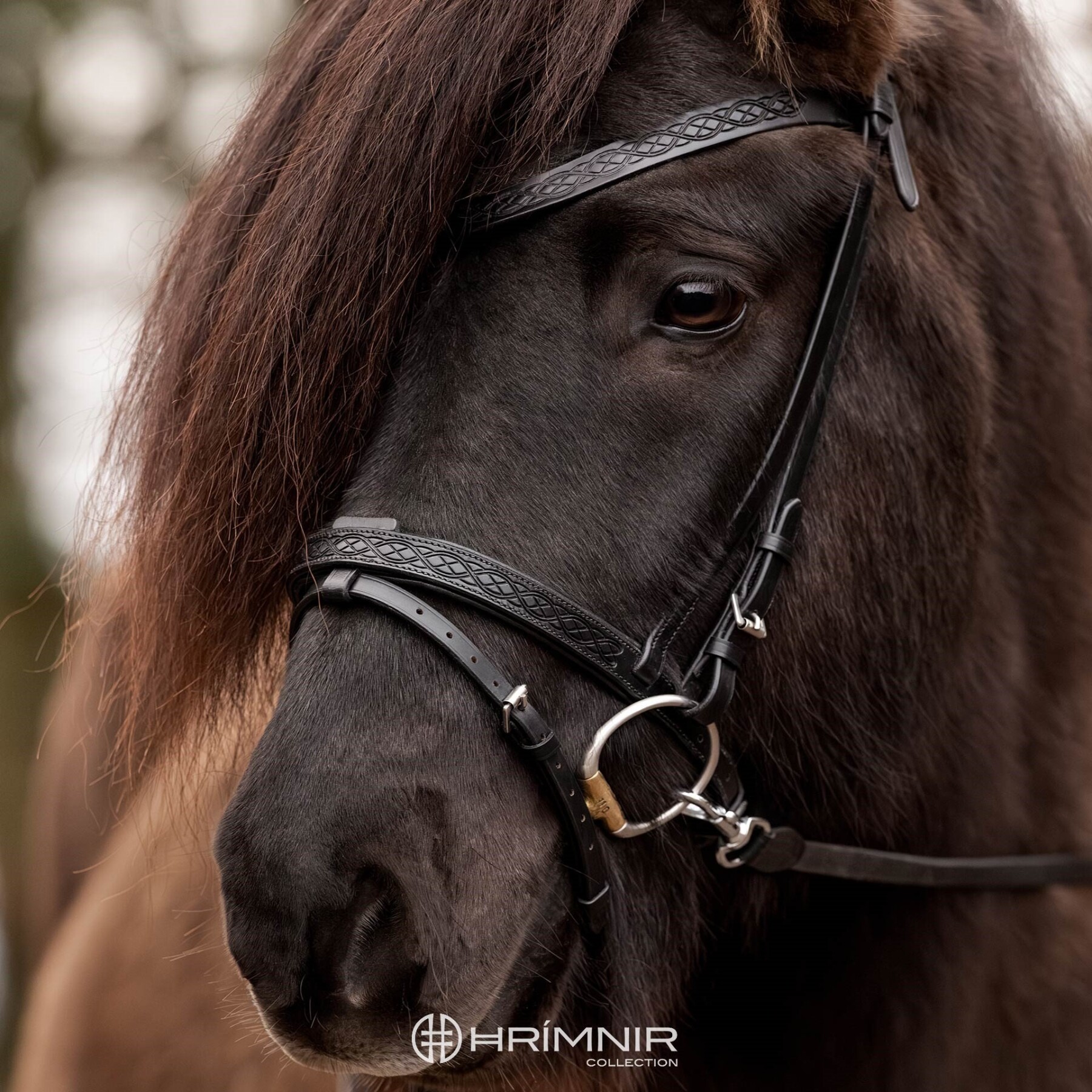 Flash noseband Heritage