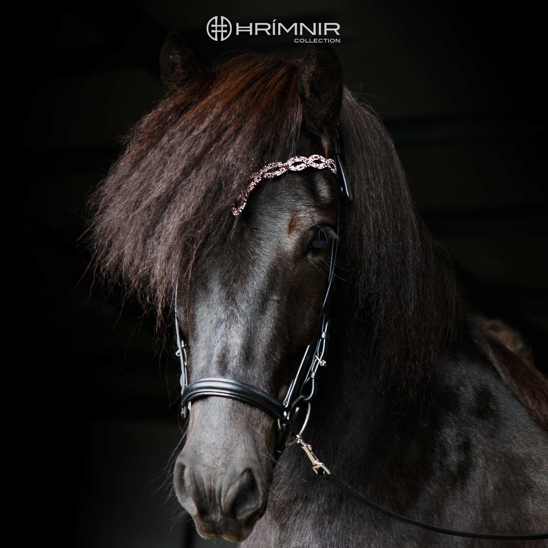 Headstall Heritage D - Sunset Rosa