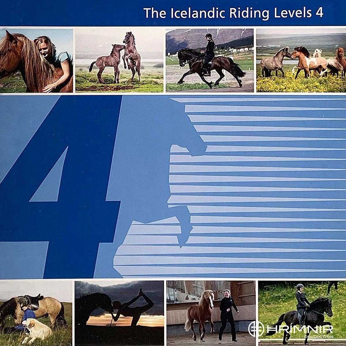 The Icelandic Riding Levels 4