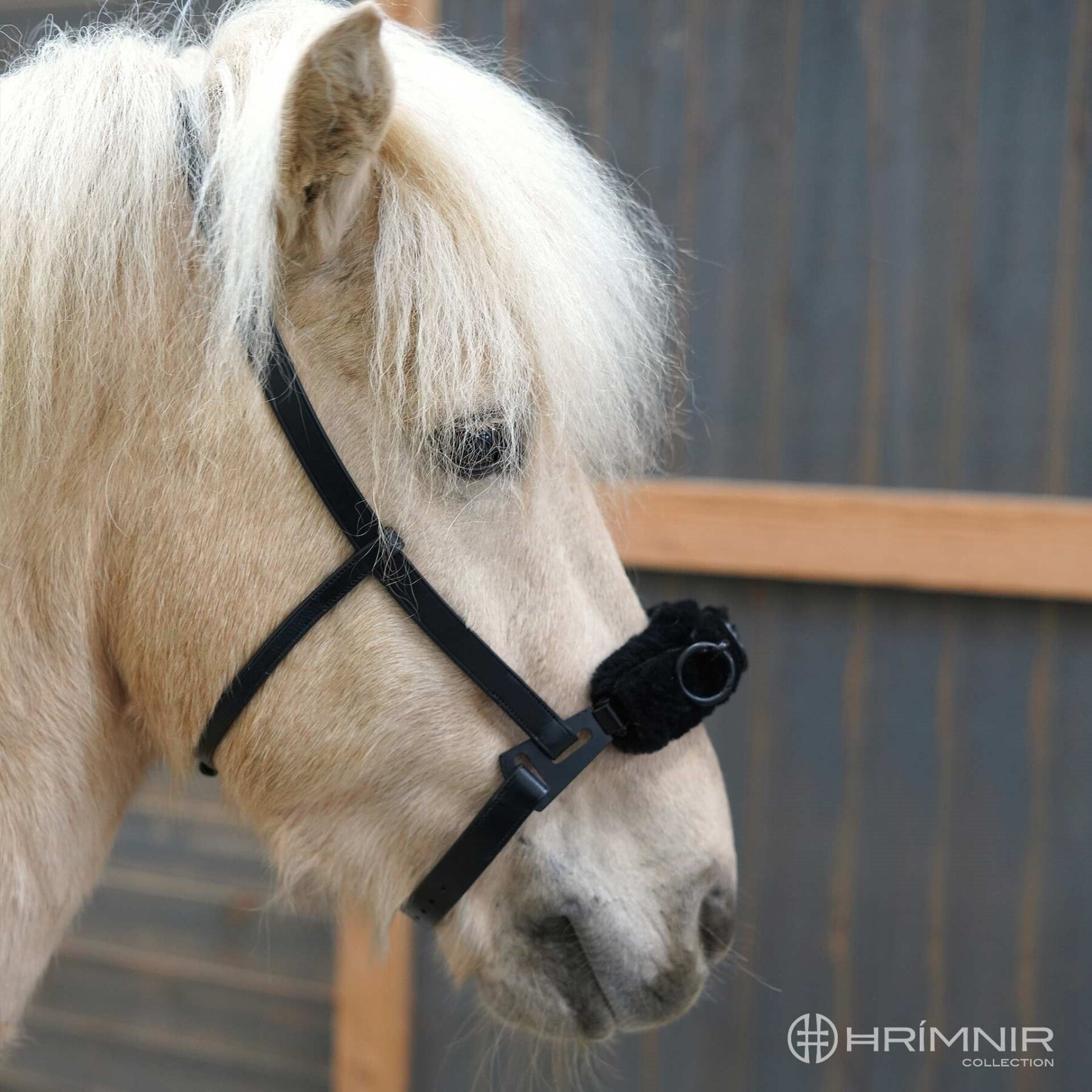 Lungeing Cavesson Carmen Halters, lungeing & whips Hrimnir