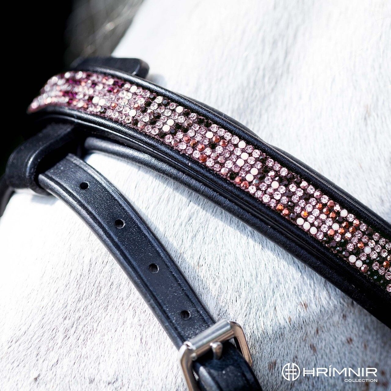 Sunset rosa flash noseband details 