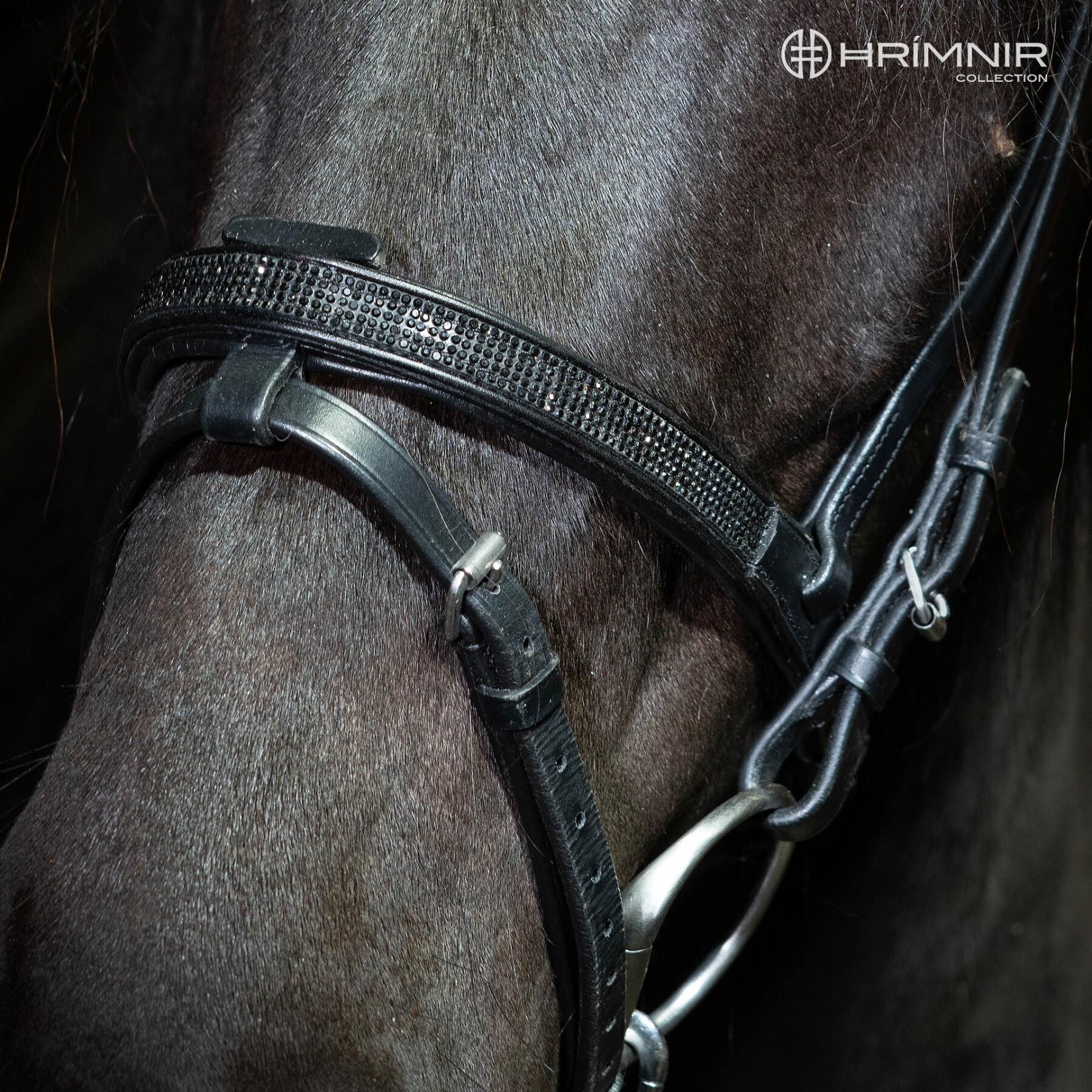 Flash noseband Lava Bridles and attachments Hrimnir