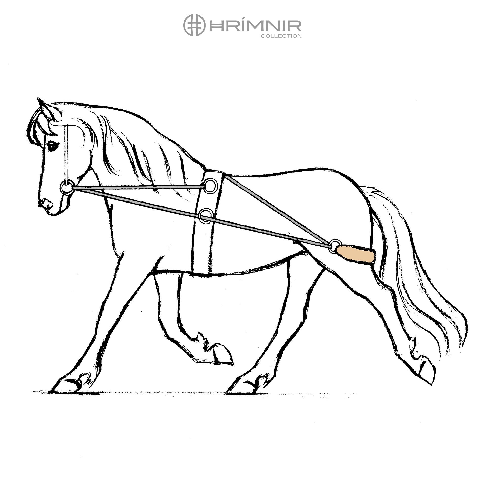 Pessoa Lungeing Aid Halters, lungeing & whips Hrimnir