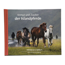 Mountain Rides on Icelandic Horses