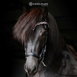 Headstall Heritage D - Sunset Rosa