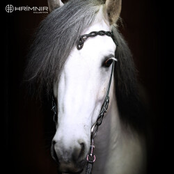 Headstall Heritage D - Lava