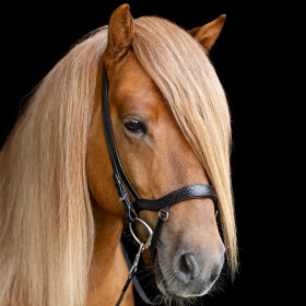 Anatomical Noseband Heritage