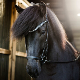 Headstall Classic Ice