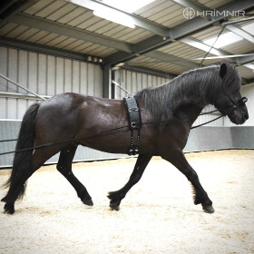 Double Lunge Reins