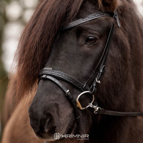 Flash noseband Heritage