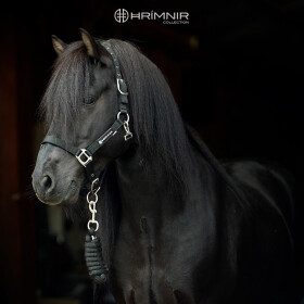 Halter set padded with lead 