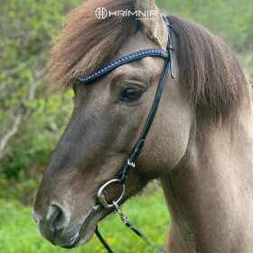 Headstall Classic Blue