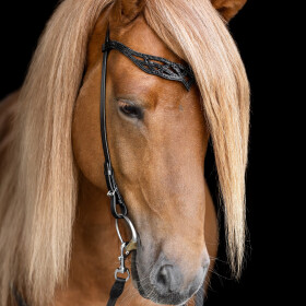 Headstall Heritage B - Lava