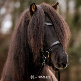 Headstall Classic Heritage 