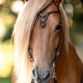 Headstall Heritage Unity Lava