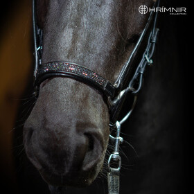 Drop noseband Lava