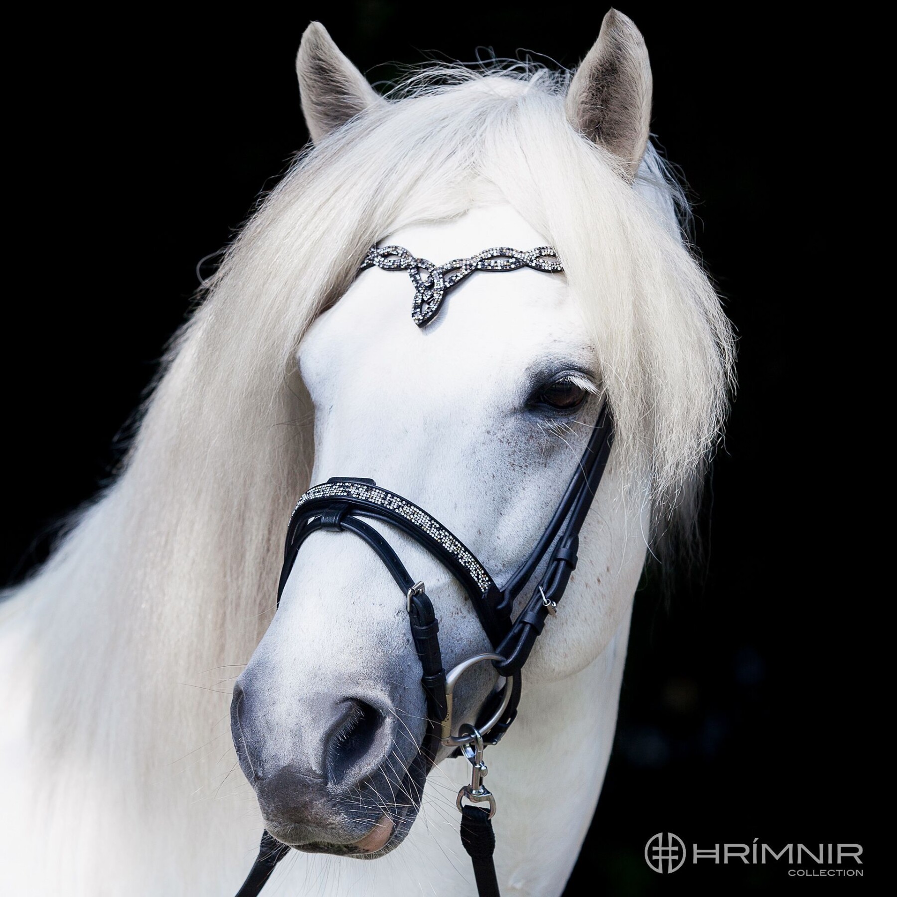 flash noseband fire and ice front view 