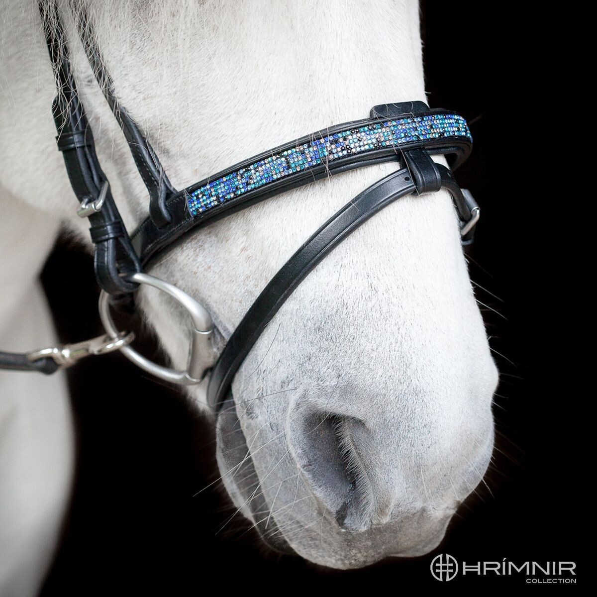 flash noseband close up blue lagoon 