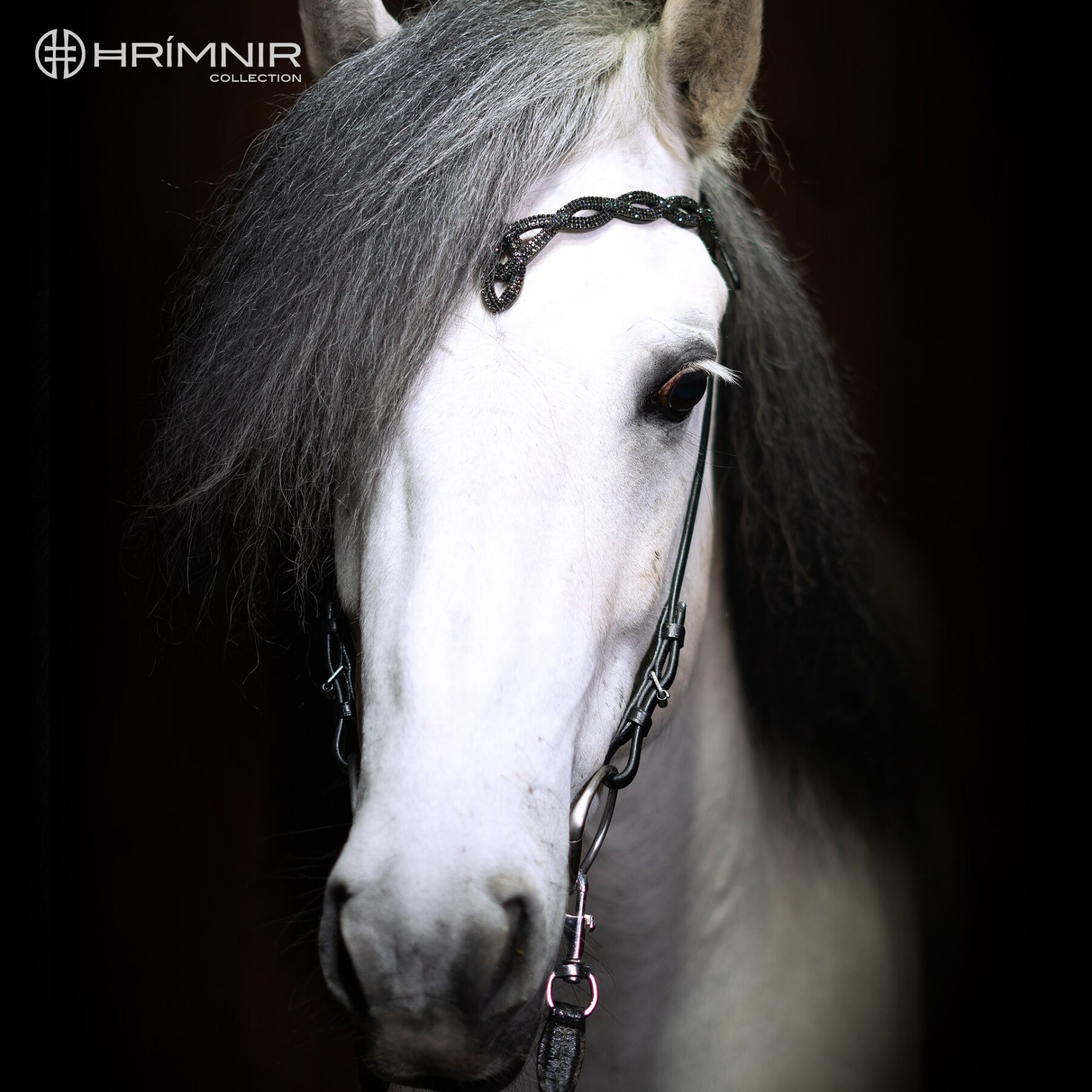 Lava white horse front G