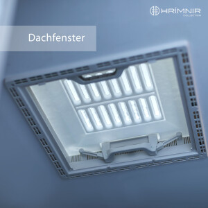 Dachfenster