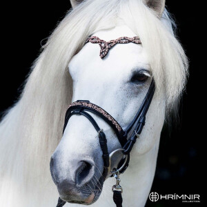 Sunset rosa flash noseband on horse 