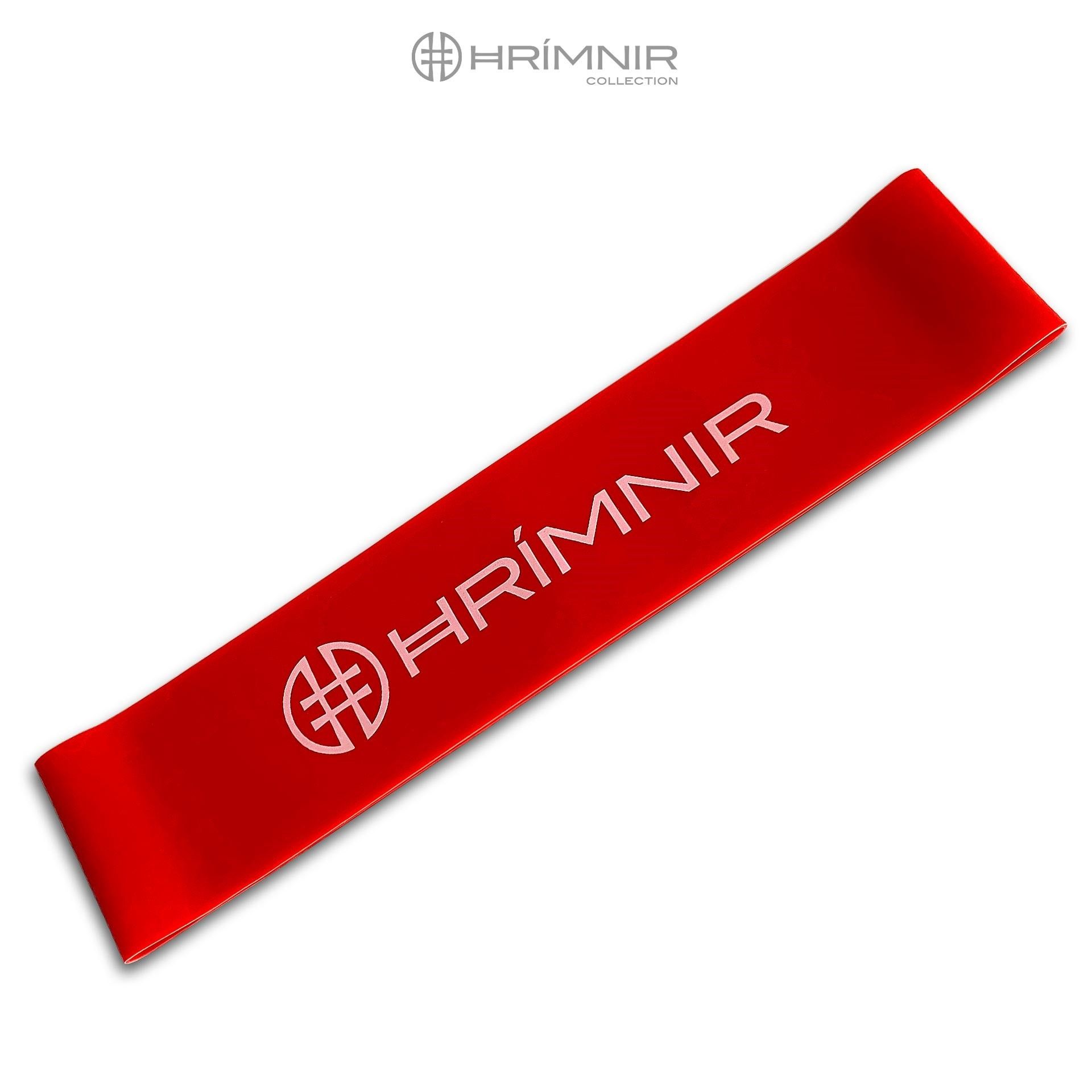 Fitness Band - Loop