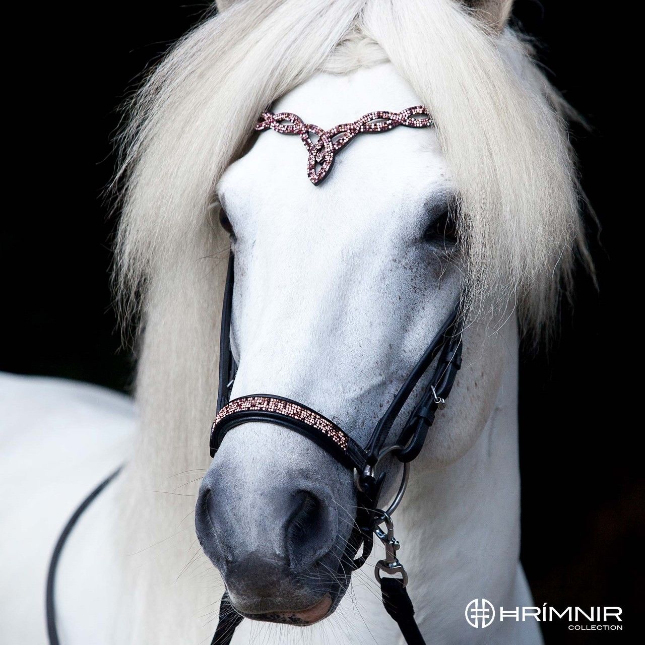Headstall Heritage- Sunset Rosa