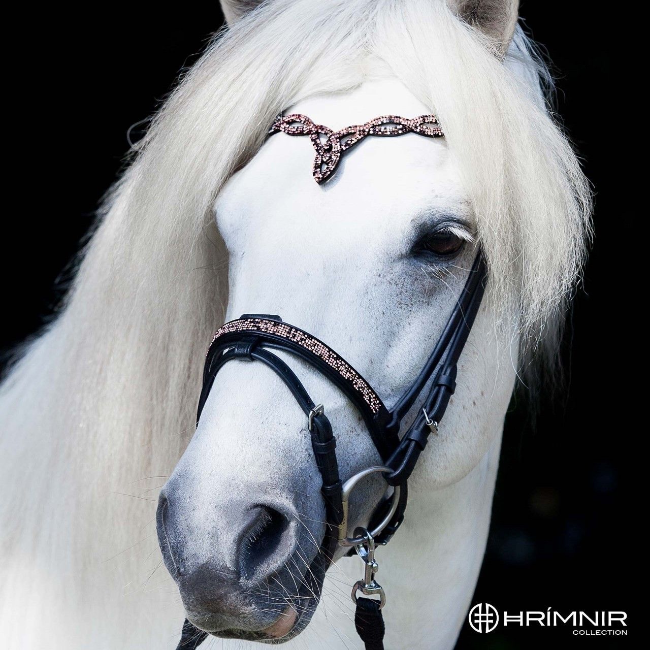 Flash Noseband Sunset Rosa