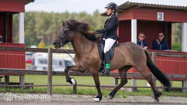 Valerie Vam Helvoort-Kortrijk